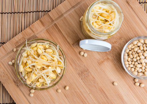 Pickled Bean Sprouts